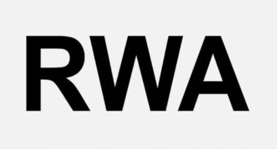 RWA赛道哪个币最可能百倍币?