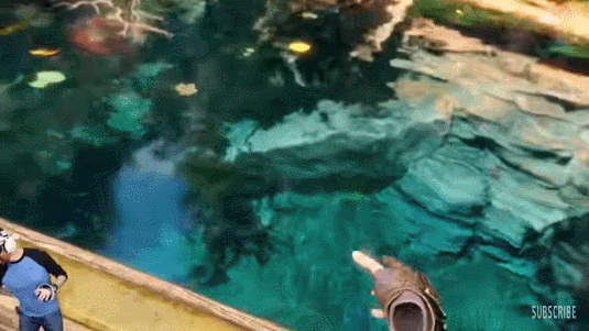 游戏《地平线:山之呼唤》