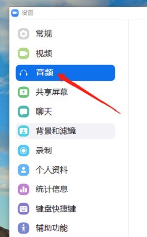 Zoom怎么更改音频模式 Zoom更改音频模式的操作方法