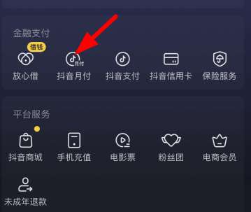 抖音月付还款怎么还 抖音月付还款操作方法