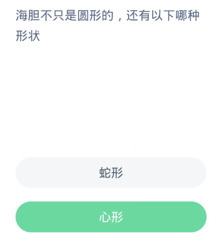 蚂蚁森林神奇海洋3月17日:海胆不只是圆形的还有以下哪种形状