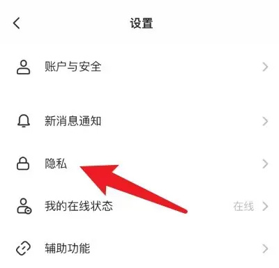 soul如何关闭显示IP地址