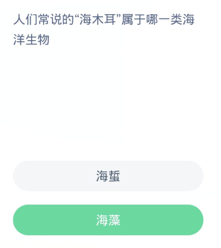 蚂蚁森林神奇海洋3月10日:人们常说的海木耳属于哪一类海洋生物