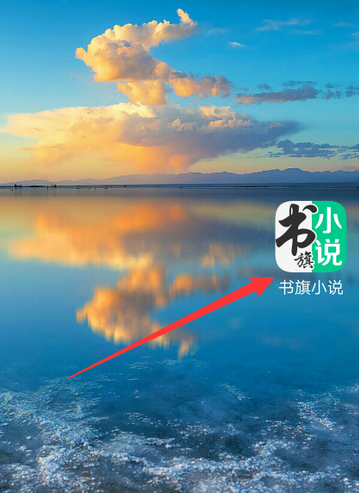 书旗小说怎么开启自动调节屏幕亮度 书旗小说开启自动调节屏幕亮度的方法