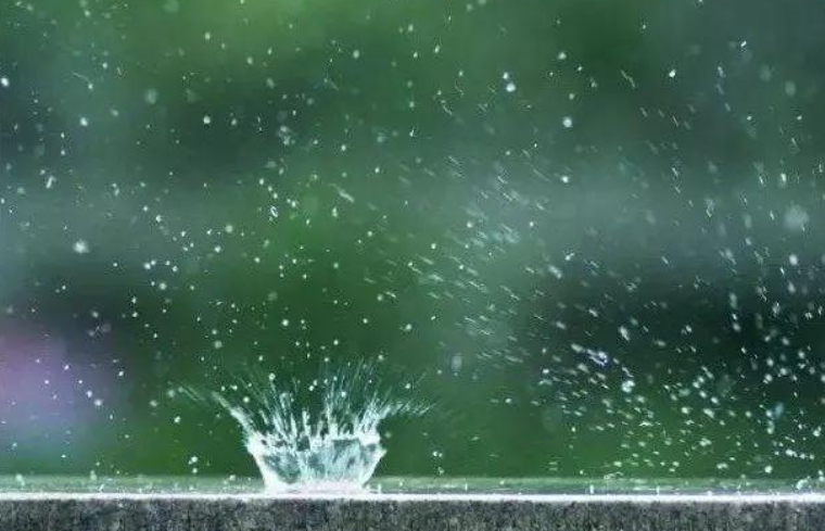 蚂蚁庄园3月14日:诗句蓼茸蒿笋试春盘人间有味是清欢的春盘类似哪种食物