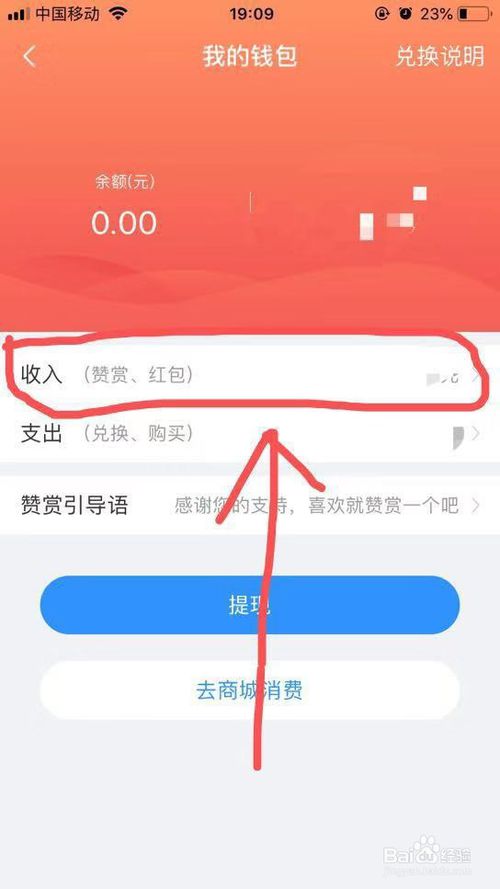 美篇App应用钱包收支明细查看方法与步骤