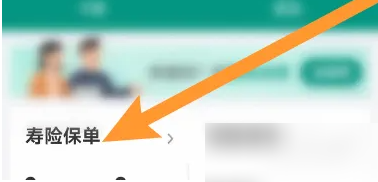 中国人寿保险app怎么查自己的保单 中国人寿寿险查看个人的寿险保单方法