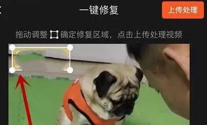 快影怎么去水印呢?分享快影去除水印方法!