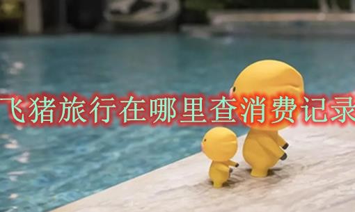 飞猪旅行在哪里查消费记录 飞猪旅行消费记录查看方法