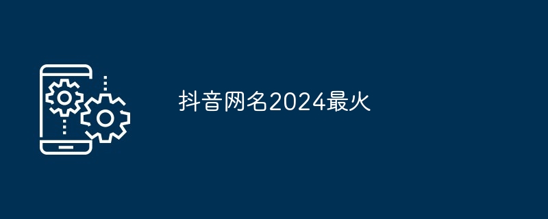 抖音网名2024最火