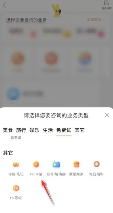 大众点评vip怎么开通 vip开通的操作方法