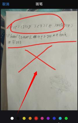 钉钉中家校本教师判作业方法