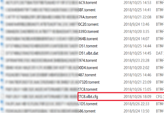 迅雷下载任务提示配置文件出错无法继续下载怎么解决？