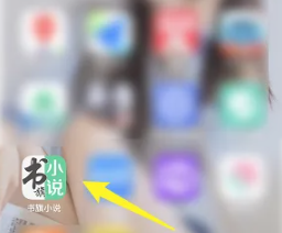 书旗小说会员怎么关闭自动续费