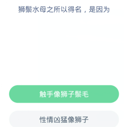 蚂蚁森林神奇海洋3月9日:狮鬃水母之所以得名是因为