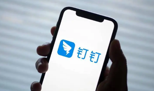 钉钉怎么删除群聊成员 钉钉删除群聊成员方法分享