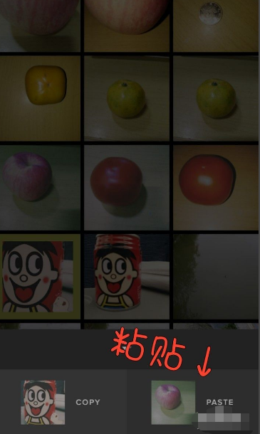 vsco怎么批量处理照片 vsco批量处理照片的方法