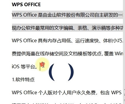 WPS文字怎么输入跨行括号符号_自选形状帮你忙