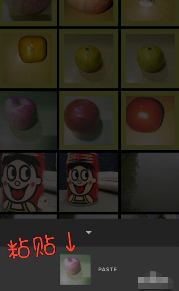 vsco怎么批量处理照片 vsco批量处理照片的方法