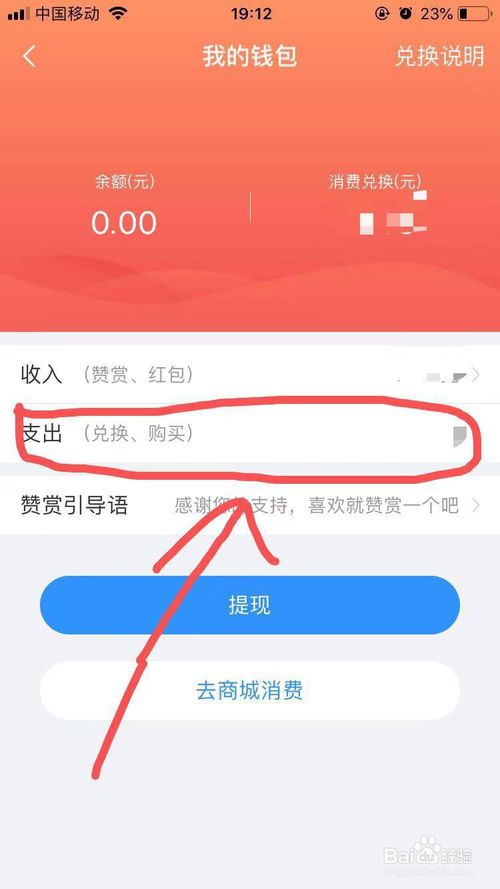 美篇App应用钱包收支明细查看方法与步骤