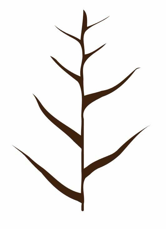 ai制作矢量小树苗插画的操作方法