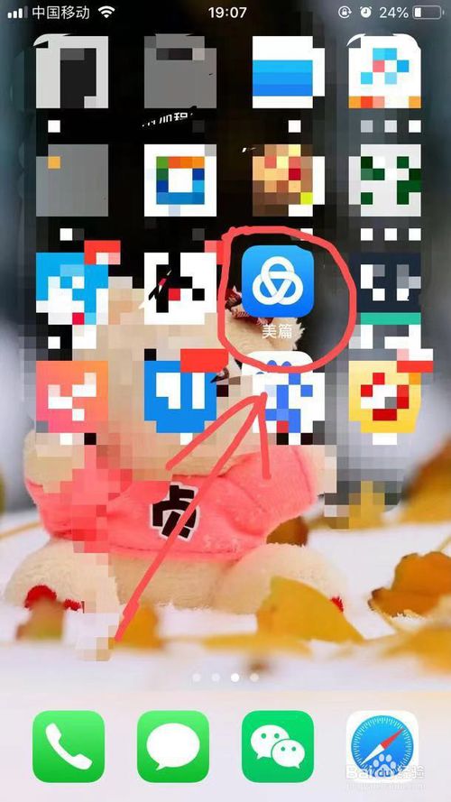 美篇App应用钱包收支明细查看方法与步骤