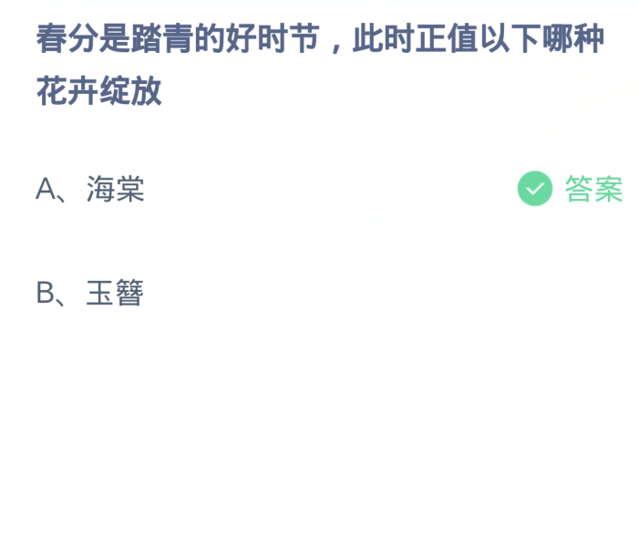 蚂蚁庄园3月20日:春分是踏青的好时节此时正值以下哪种花卉绽放