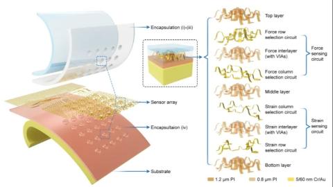 我国科学家研制出首款具仿生三维架构的电子皮肤