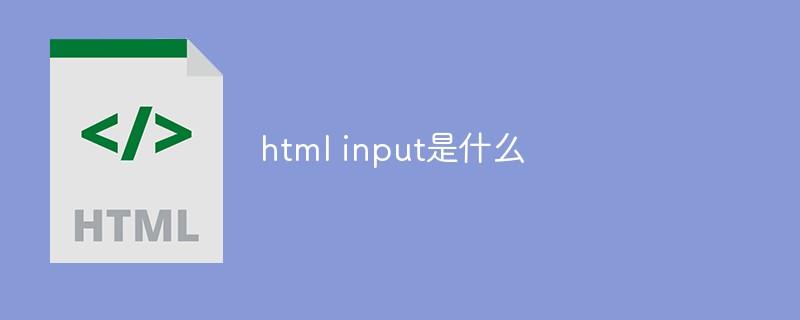 html input是什么