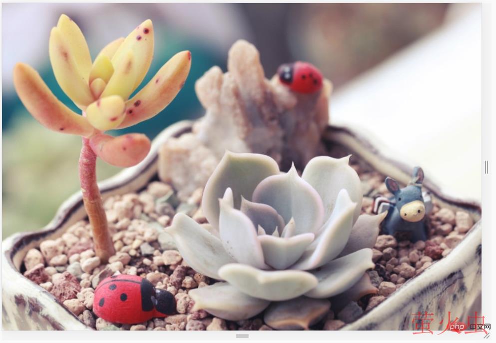 1618908042641556.png 3.png