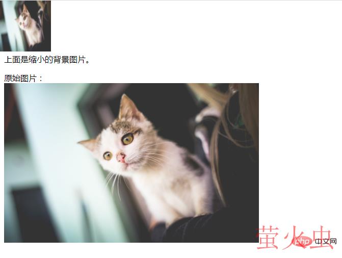 1618990163792926.png 1.png