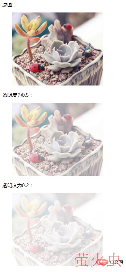 1618991442865239.png 2.png