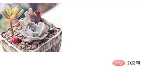 1619683781339091.png 2.png