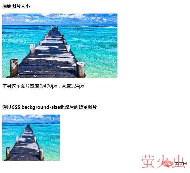 1636535118753992.png 1.png