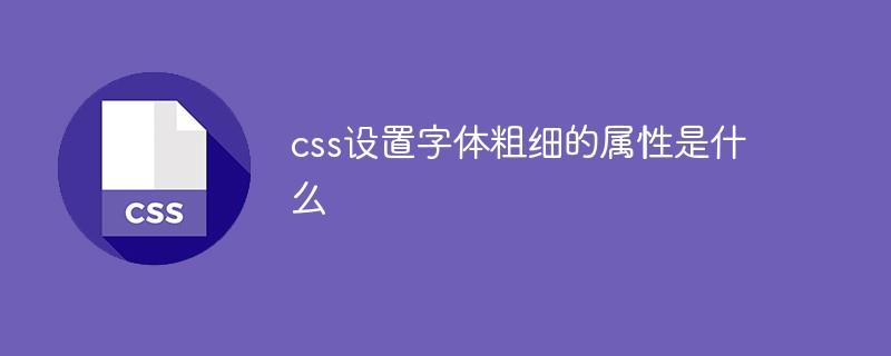 css设置字体粗细的属性是什么