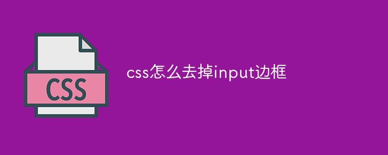 css怎么去掉input边框