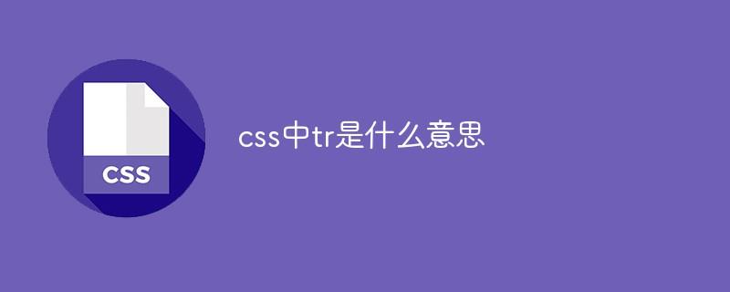 css中tr是什么意思