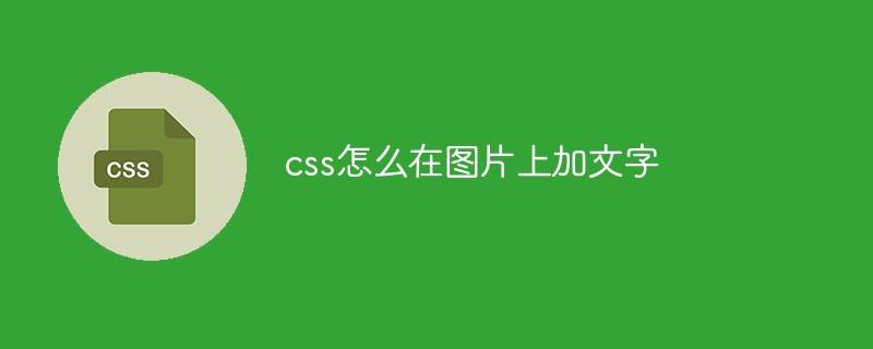 css怎么在图片上加文字