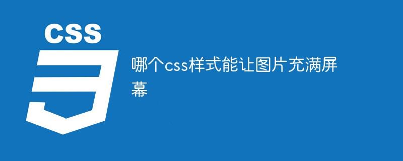 哪个css样式能让图片充满屏幕