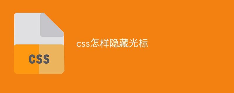 css怎样隐藏光标