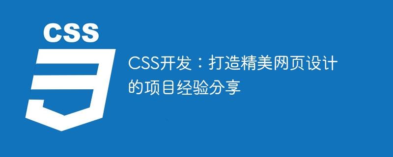 CSS开发：打造精美网页设计的项目经验分享