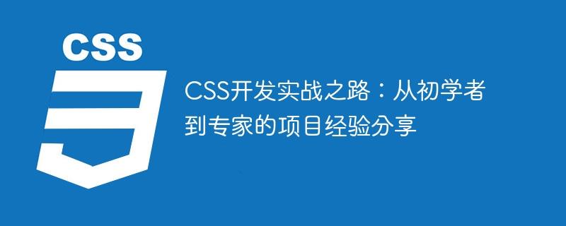 CSS开发实战之路：从初学者到专家的项目经验分享