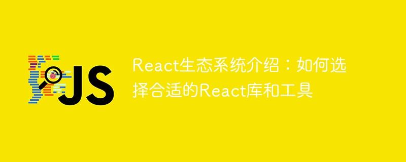 React生态系统介绍：如何选择合适的React库和工具