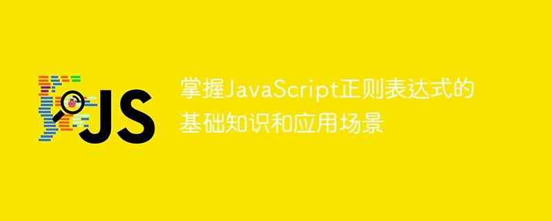 掌握JavaScript正则表达式的基础知识和应用场景