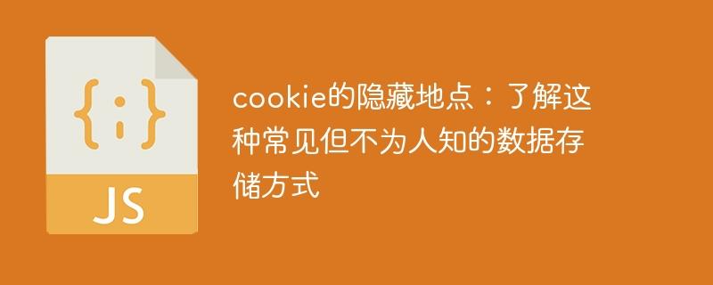 cookie的隐藏地点：了解这种常见但不为人知的数据存储方式