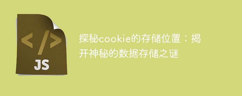 探秘cookie的存储位置：揭开神秘的数据存储之谜