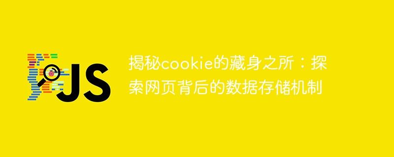 揭秘cookie的藏身之所：探索网页背后的数据存储机制