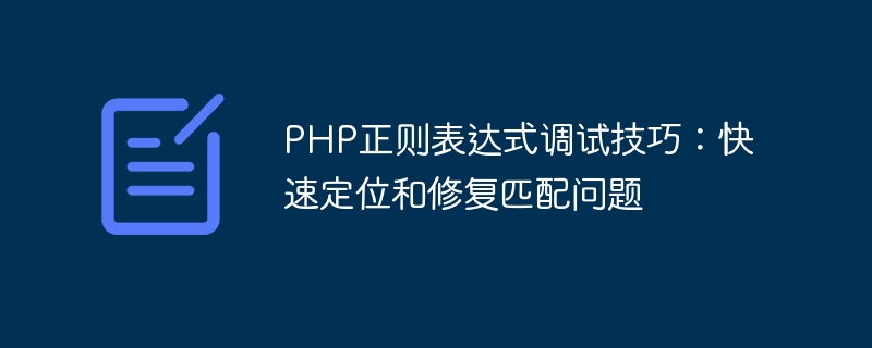 PHP正则表达式调试指南：快速发现和解决匹配问题