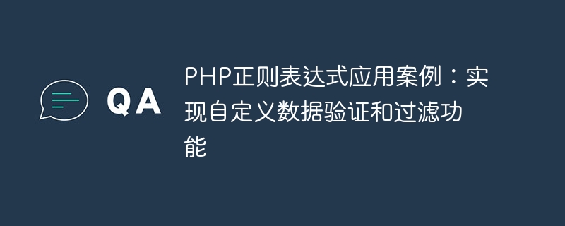 PHP正则表达式应用案例：实现自定义数据验证和过滤功能