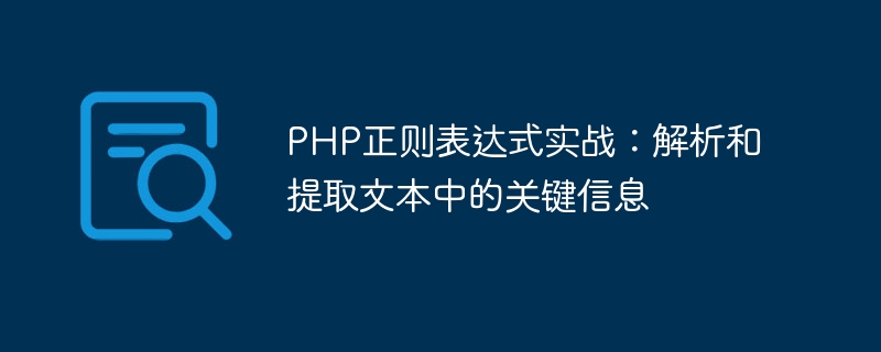 PHP正则表达式实战：解析和提取文本中的关键信息